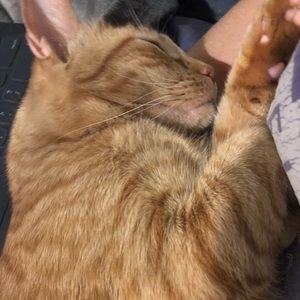 Meet your Posher, Robyn